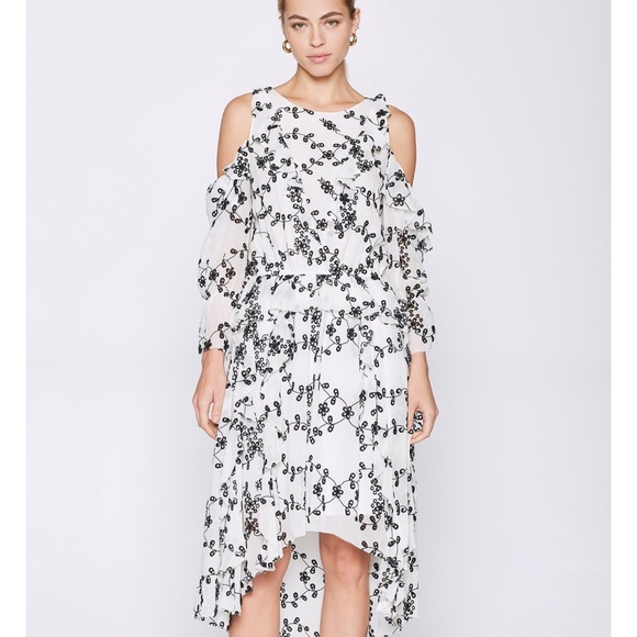 FINAL🚨DONATING SOON‼️ Joie Alpheus Silk Floral-Eyelet Ruffled Dress - Picture 7 of 10